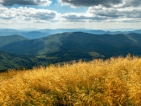 Na Tarnicy